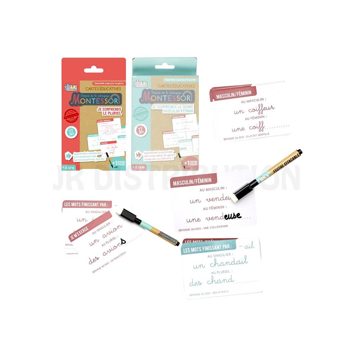 Educational Game: I Understand Gender or Plural