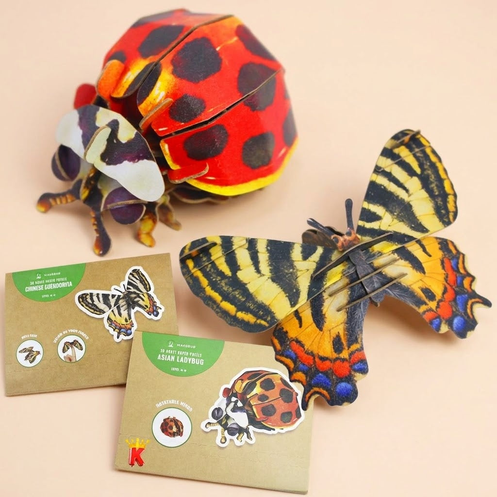 3D Kraft Puzzle Butterfly or Ladybird Eco Craft - studio photo