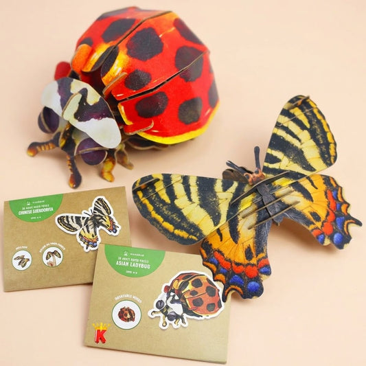 3D Kraft Puzzle Butterfly or Ladybird Eco Craft - studio photo