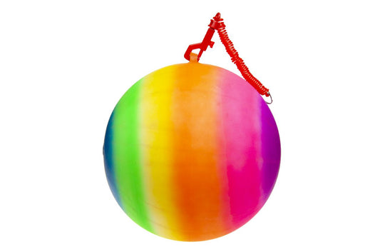 BEACHBAL MET SLEUTELH. 23CM IN NETJE