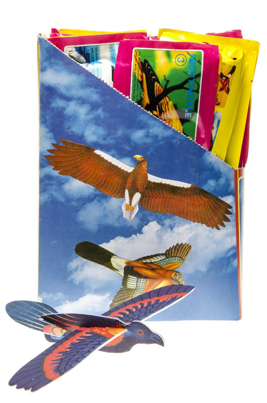 STYROFOAM VLIEGER VOGEL