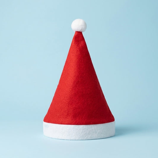 Kids' Felt Santa Hat Christmas Dress-Up - studio photo