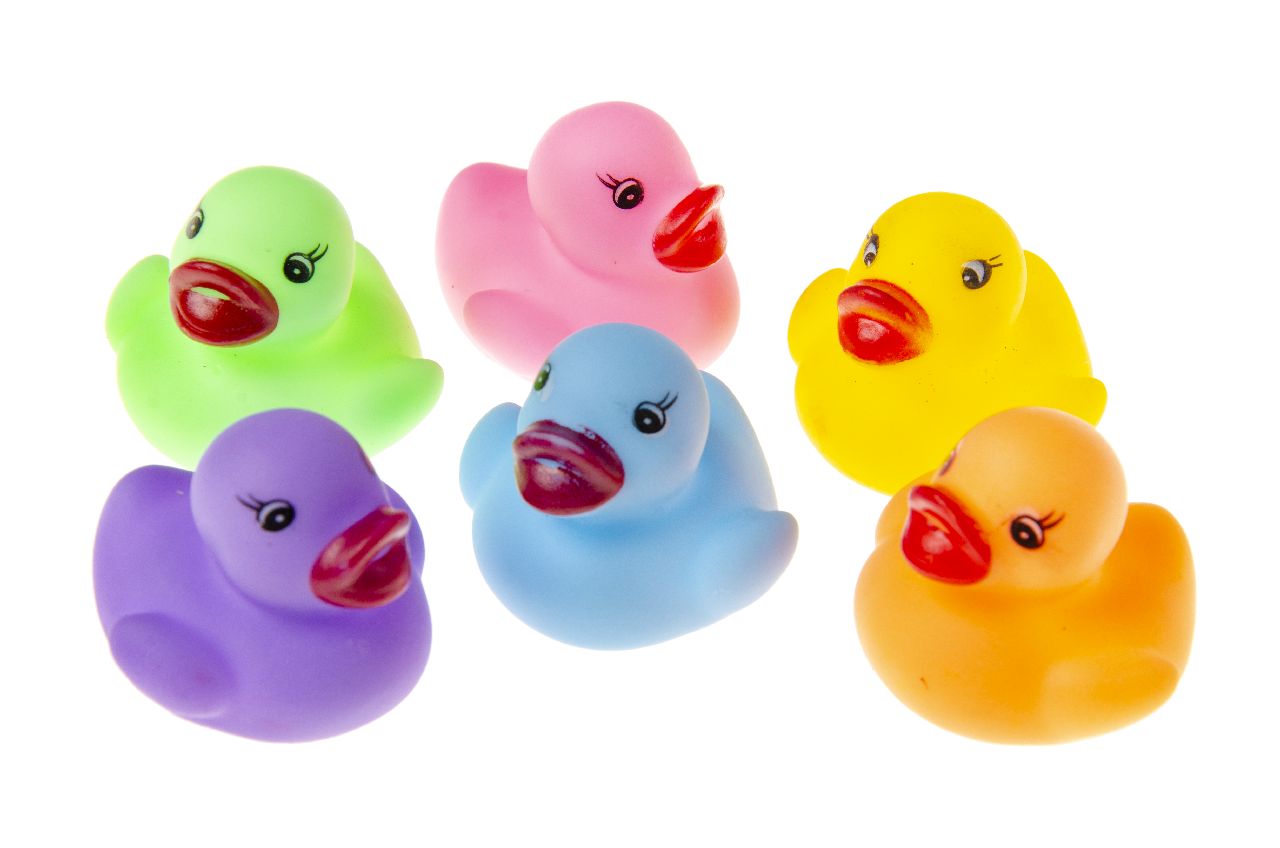 COLOURED DUCK ASSORTMENT