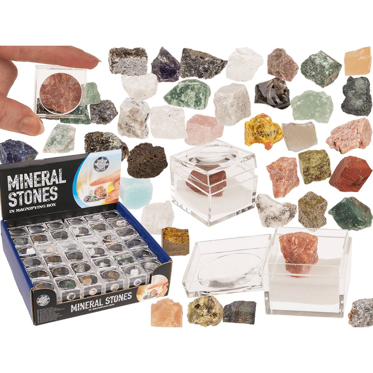 Mineral Stone + Magnifying Observation Box